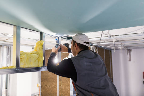 Types of Insulation We Offer in Irmo, SC
