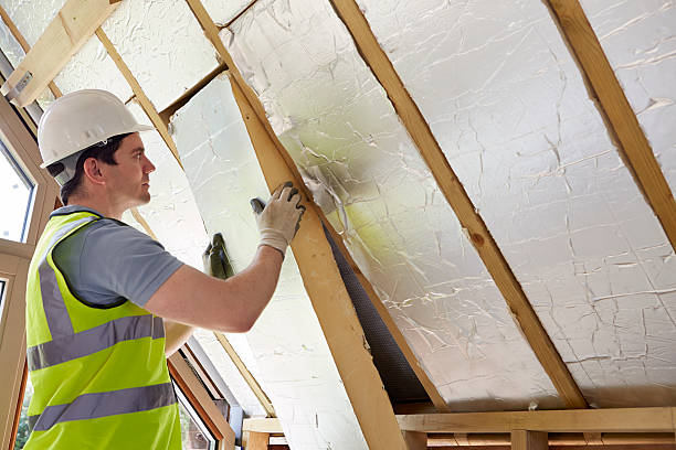 Best Cellulose Insulation in Irmo, SC