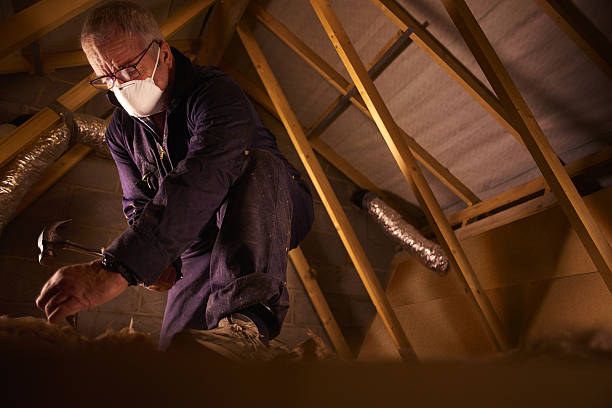 Best Energy Efficiency Insulation in Irmo, SC